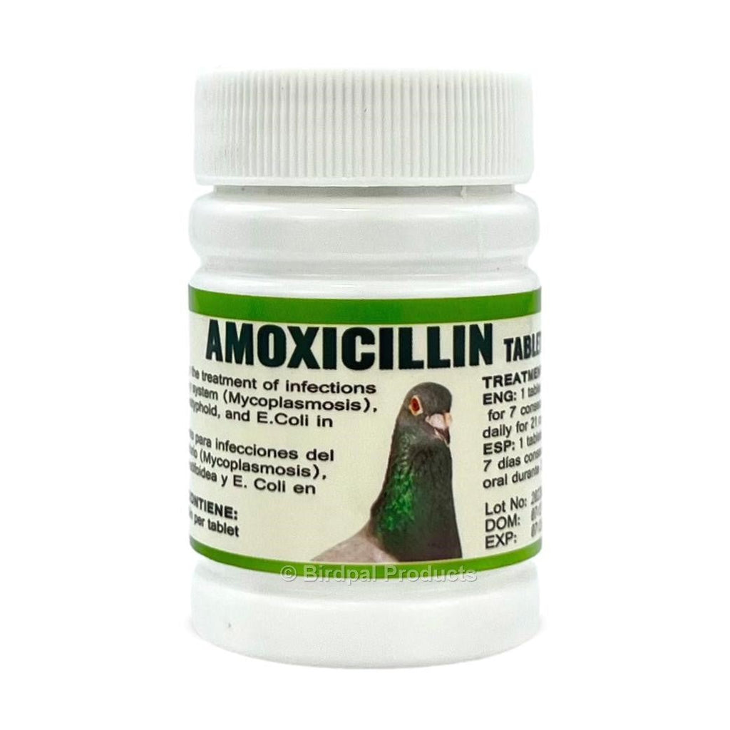 Amoxicillin 10mg Tablets for Birds Performance Pigeon Feed and Supplies