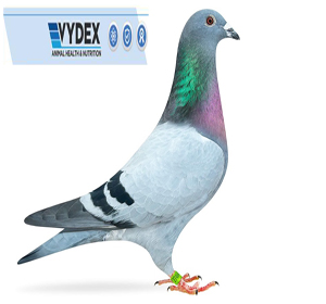 Vydex Super 6 A Six-In-One Supplement Blend for Pigeons