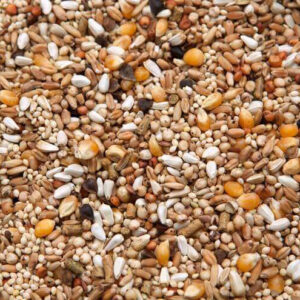 Parkview Dove Mix