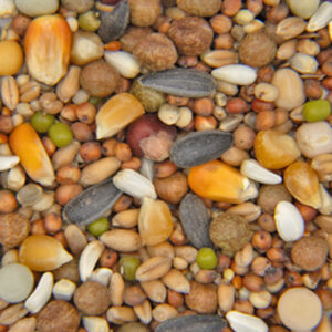 Performance Pigeon Feed Breeders Mix (17.50%)