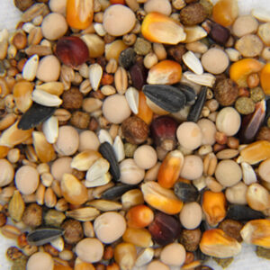 Performance Pigeon Feed Flyers Mix (14.05 %)