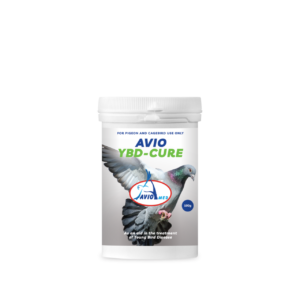 Avio Young Bird Cure (YBD) - Multi-Disease Cure for Pigeons