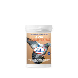 Avio Bromhexine Powder - Clears Mucus in Birds