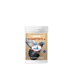 Aviomed Dimetryl+ - Canker Treatment for Birds