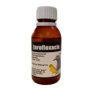 Enrofloxacin 10% for Birds (Generic Baytril)