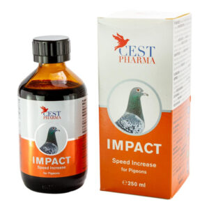 Cest Impact (100MlL) - High Energy Tonic for Pigeon Racing & Breeding