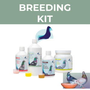 PHP Breeding Kit The Ultimate Pigeon Breeding Bundle
