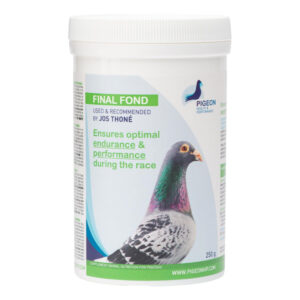 PHP Final Fond - Long Distance Energy