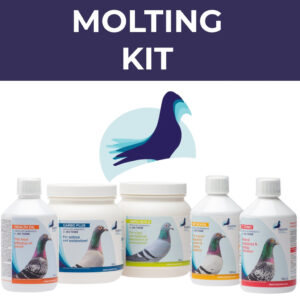 PHP Molting Kit - For an Easy Molting Season