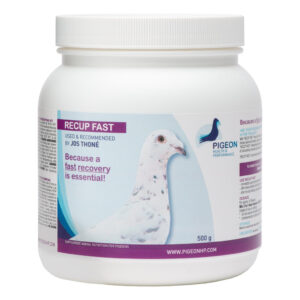 PHP Recup Fast - A Protein Blend for Quick Recovery