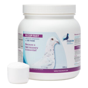 PHP Recup Fast - A Protein Blend for Quick Recovery