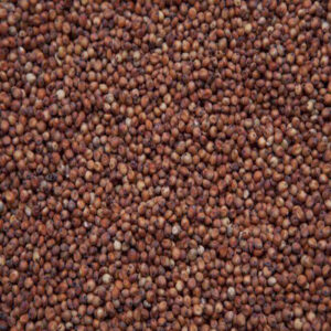 MILO- RED (Sorghum) 9.30%
