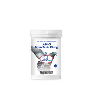 AVIO MUSCLE & WING 200 GR