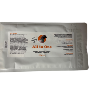 ALL-IN-ONE POWDER 200 GR