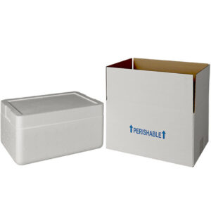 INSULATED SHIPPING BOX with FOAM COOLER