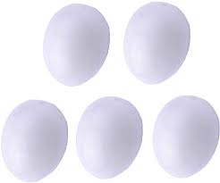 PLASTIC PIGEON EGG