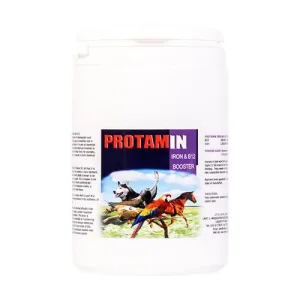 Vydex Protamin Iron & B-12 for Pigeons Oxygenates Blood & Energyzes